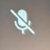 Microphone muted icon